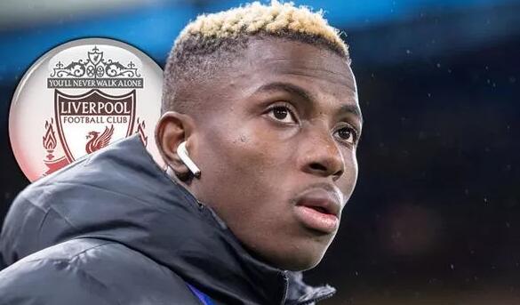 当你学会围 当你学会围